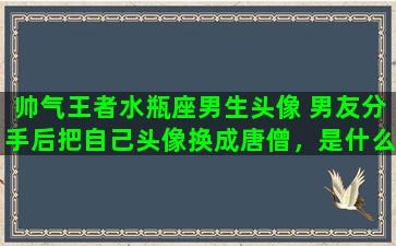 帅气王者水瓶座男生头像 男友分手后把自己头像换成唐僧，是什么意思（男友是水瓶座的）